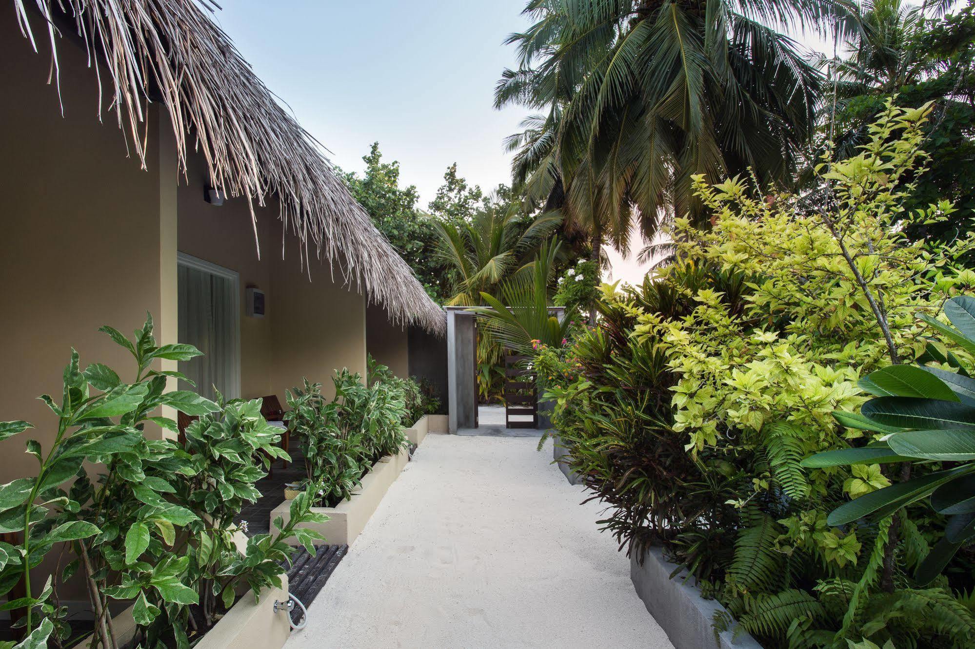 Tropical Village Fehendhoo Ngoại thất bức ảnh